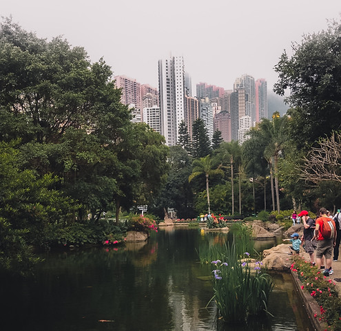 Marketing Authorization Hong Kong